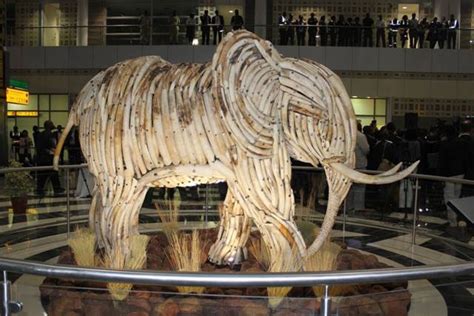 The Journey of Artistry: Unveiling the Vision Behind the Ivory Sculpture