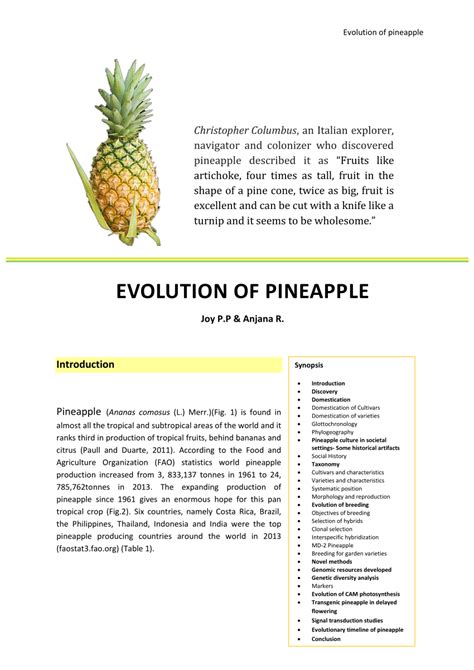 The Journey of Tropical Fruit Nectar: Tracing the Evolution of Pineapple Extracts From Native Cultures to Worldwide Delight