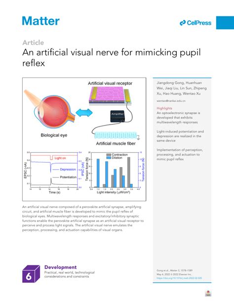 The Journey to Acquiring an Artificial Visual Organ: From Consultation to Fitting