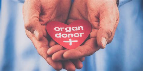 The Journey towards Becoming an Organ Donor