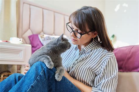 The Joys of Having a Feline Companion: Heartwarming Tales and Testimonials