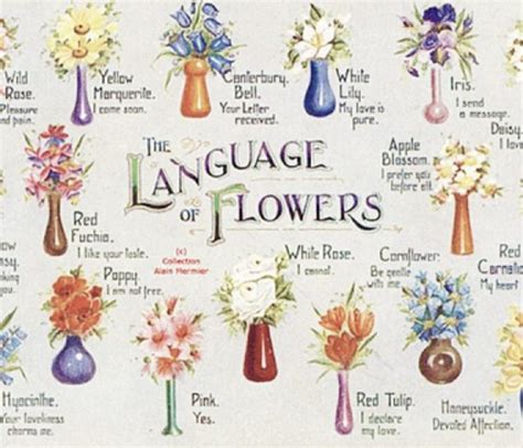 The Language of Floral Arrangements and Its Symbolic Meanings