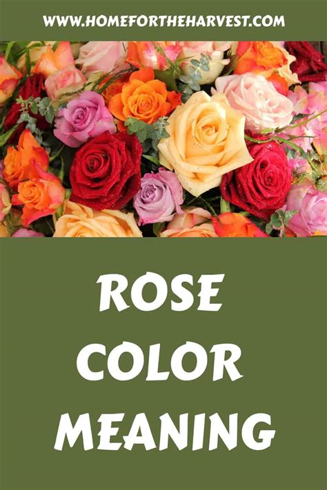 The Language of Roses: Deciphering the Hidden Meanings Behind Each Hue