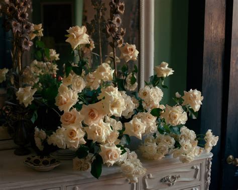 The Language of Roses: Unlocking the Symbolism