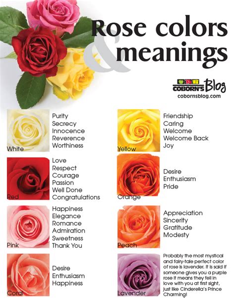 The Language of Roses: Unraveling the Symbolism Behind Different Colors