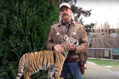 The Legal and Ethical Implications of Having a Tiger as a Pet