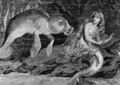 The Legendary World of Mermaids: Origins and Tales