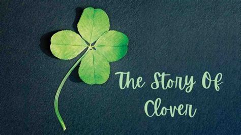 The Life Story of Curious Clover