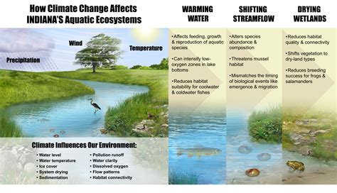 The Life-Changing Effects of Strolling in Pristine Aquatic Environments