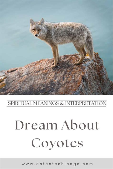 The Link Between Coyote Dreams and Personal Evolution