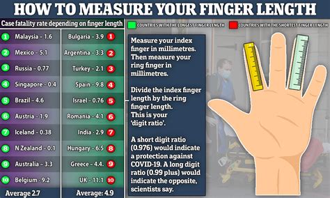 The Link Between Finger Length and Physical Well-being