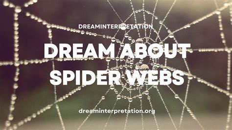 The Link Between Spider Webs and Creativity in Dream Analysis