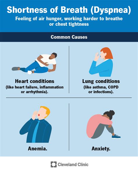 The Link Between Spider-Induced Coughing Nightmares and Stressful Life Situations