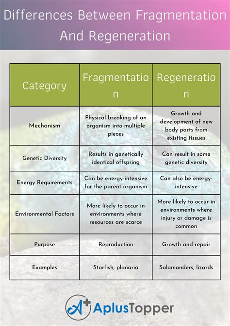 The Link between Seeds and Regeneration