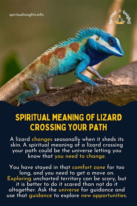 The Lizard as a Spiritual Guide and Messenger