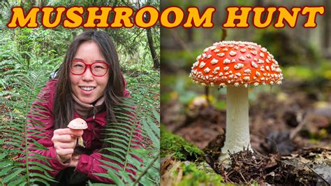 The Magic of Mushroom Hunting: A Delightful Adventure