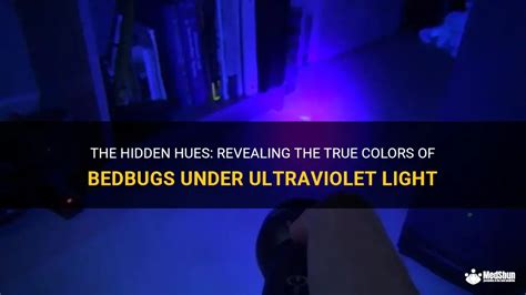 The Magic of UV Light: Unlocking the Hidden Hues of Camouflage