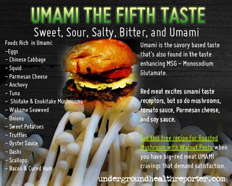 The Magic of Umami: Discovering Mushroom's Fifth Taste