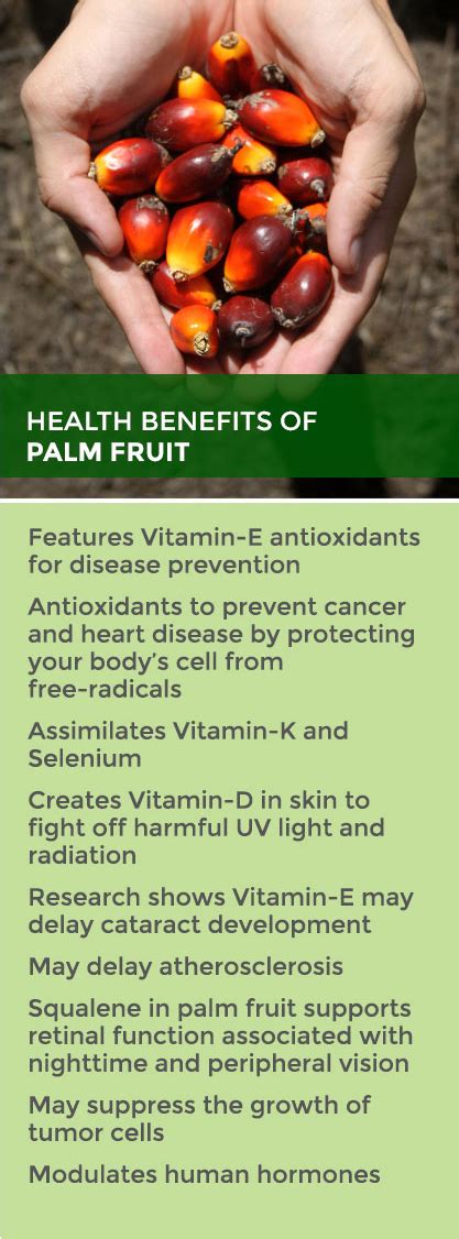 The Magical Flavor and Wellness Advantages of Royal Palm Fruit