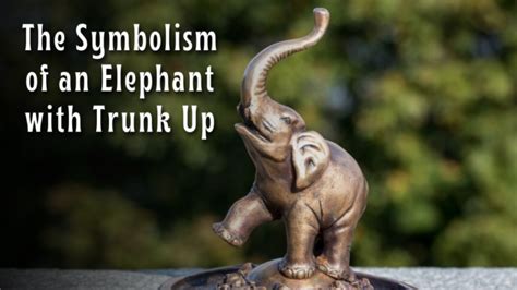 The Majestic Elephant Trunk: Empowering and Multifaceted in Symbolism