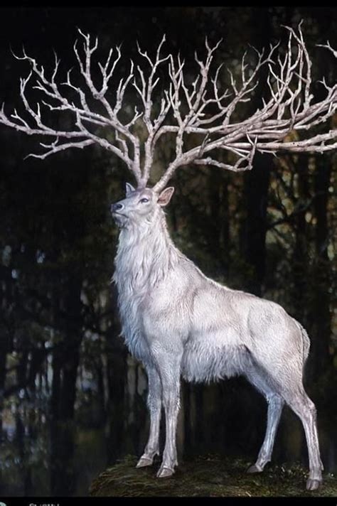 The Majestic Elk: Exploring Its Mythological and Cultural Significance