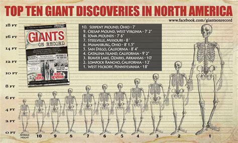 The Majestic White Giant in Popular Culture and Media