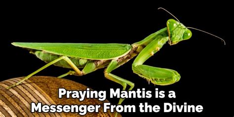 The Mantis as a Messenger from the Beyond: Understanding the Symbolism