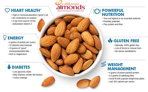 The Many Nutritional Benefits of Almonds