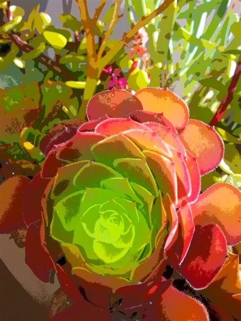 The Mastery of Carving: Highlighting the Brilliance of Your Succulent Poultry