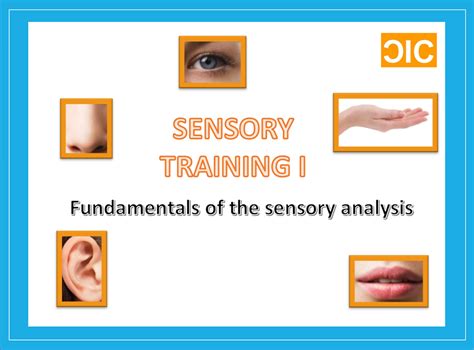 The Mastery of Sensory Caress: Techniques and Enigmatic Insights