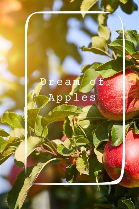 The Meaning Behind Apple Trees in Dreams