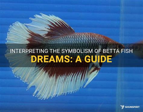 The Meaning Behind Dreaming of a Lifeless Betta Fish