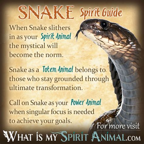 The Meaning Behind Snake Symbolism in Dreams