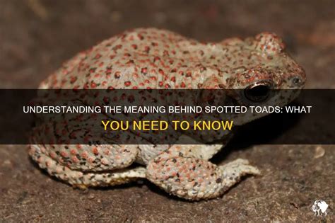 The Meaning Behind Toads Descending in Dreamscapes