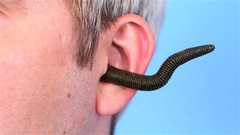 The Meaning Behind a Vision of Worms Crawling into the Ear