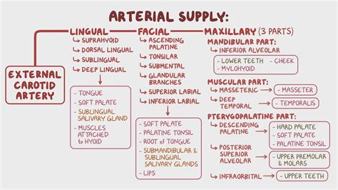 The Meaning Behind the Presence of Blood in the oral Cavity