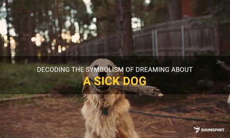 The Meaning and Importance of Dreaming about a Sick Canine