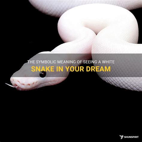 The Meaning and Importance of the White Serpent in Dreams