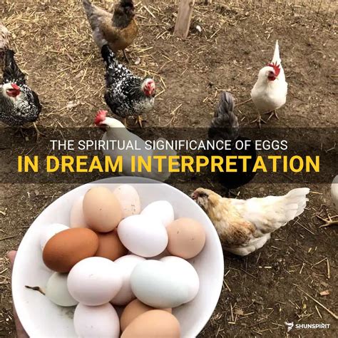 The Meaning of Avian Nest Eggs in Dreams