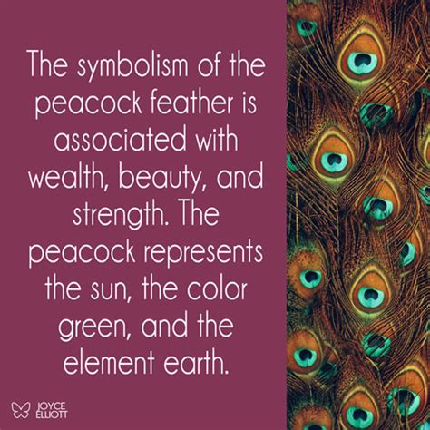 The Meaning of Colors in the Plumage of Peacocks