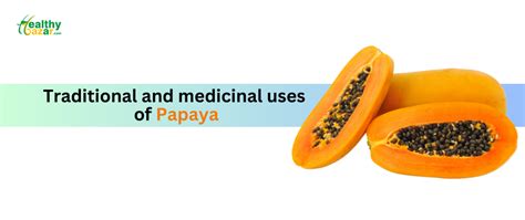 The Medicinal Properties of Papaya in Traditional Healing