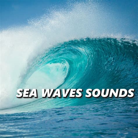 The Mesmerizing Sound of Ocean Waves