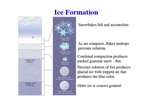 The Metamorphic Influence of Newly Fallen Snow