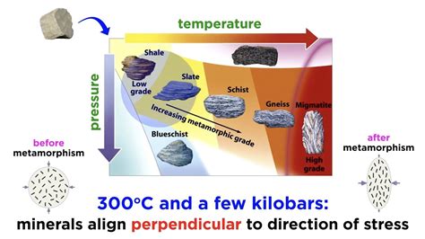 The Metamorphic Role of the Deceased Body