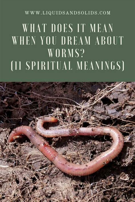 The Mind-Body Connection: Understanding the Psychological Meanings of Worm Dreams