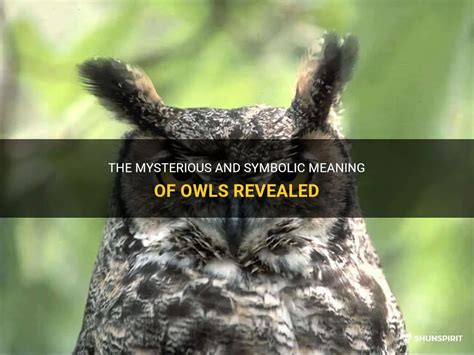 The Mysterious Symbolism of Owls throughout History and Culture