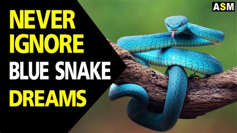 The Mysterious Symbolism of a Dream about a Neutral-Colored Serpent