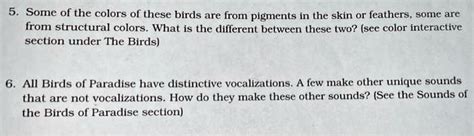 The Mysterious Verbal Codes of Coastal Birds: Interpreting the Distinctive Vocalizations of Seagulls