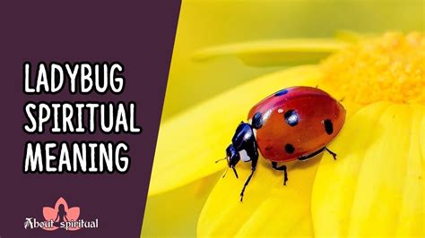 The Mystical Azure Ladybug: Decoding Symbolism and Significance