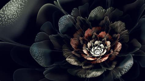 The Mystical Origins of the Mysterious Dark Flower